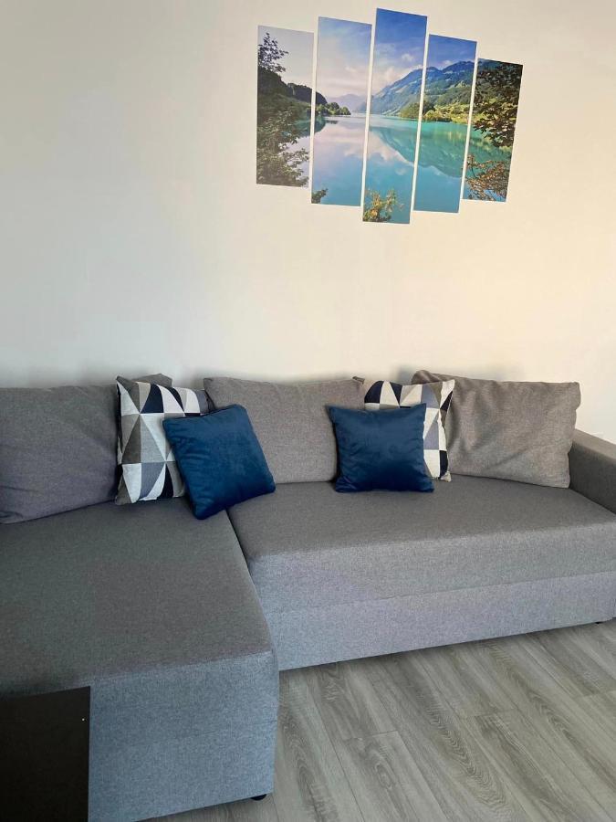 Târgu-Mureş Apartament Brifla Comfort Mures מראה חיצוני תמונה